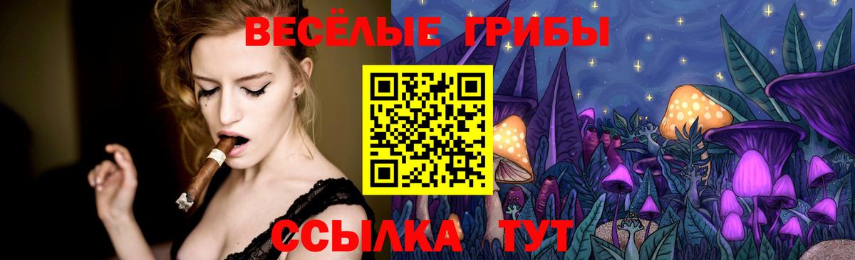 Псилоцибиновые грибы Psilocybine cubensis Калач-на-Дону